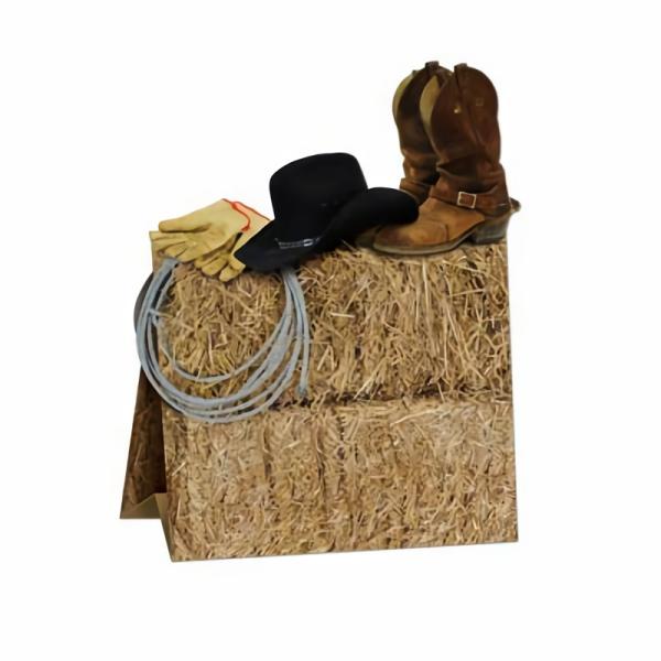 Centerpieces | 3-D Western Centerpiece (Pack Of 12) Centerpieces Centerpieces