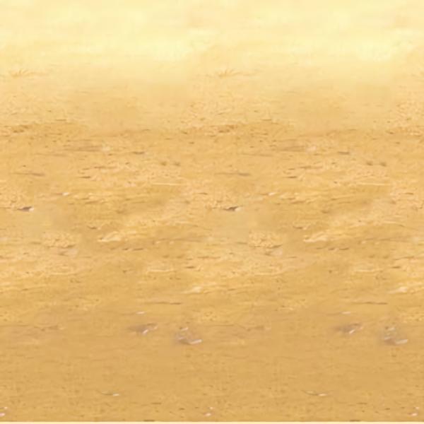 Backdrops | Desert Sand Backdrop (Pack Of 6) Backdrops Backdrops